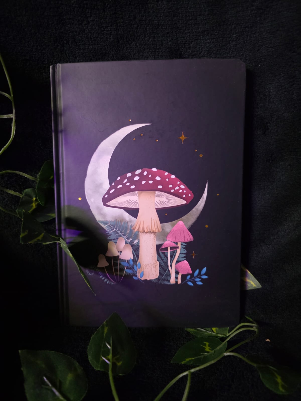 Whimsy Journals