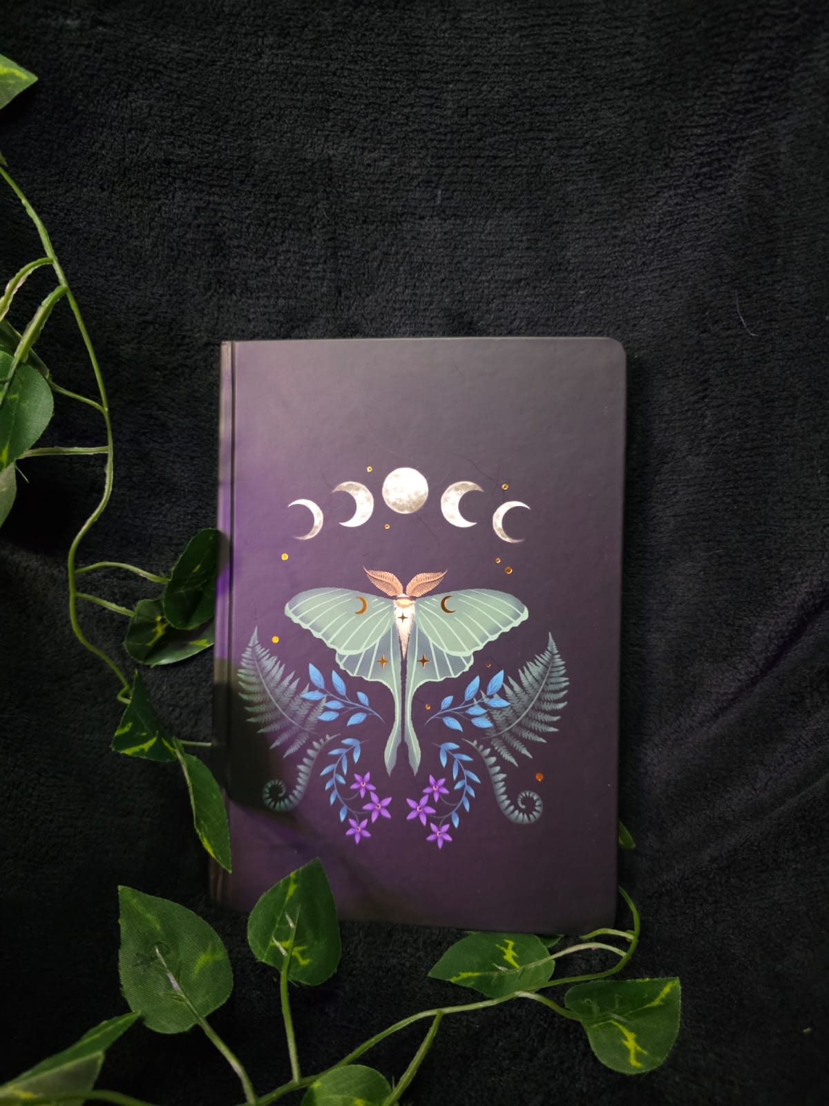 Whimsy Journals