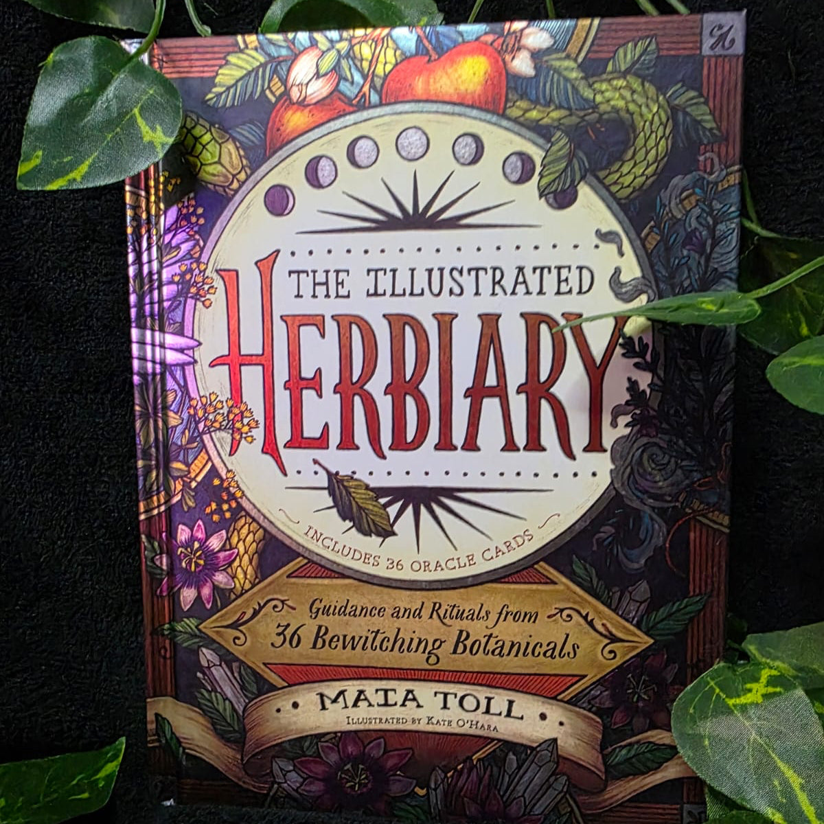 The Illustrated Herbiary (Hardcover)