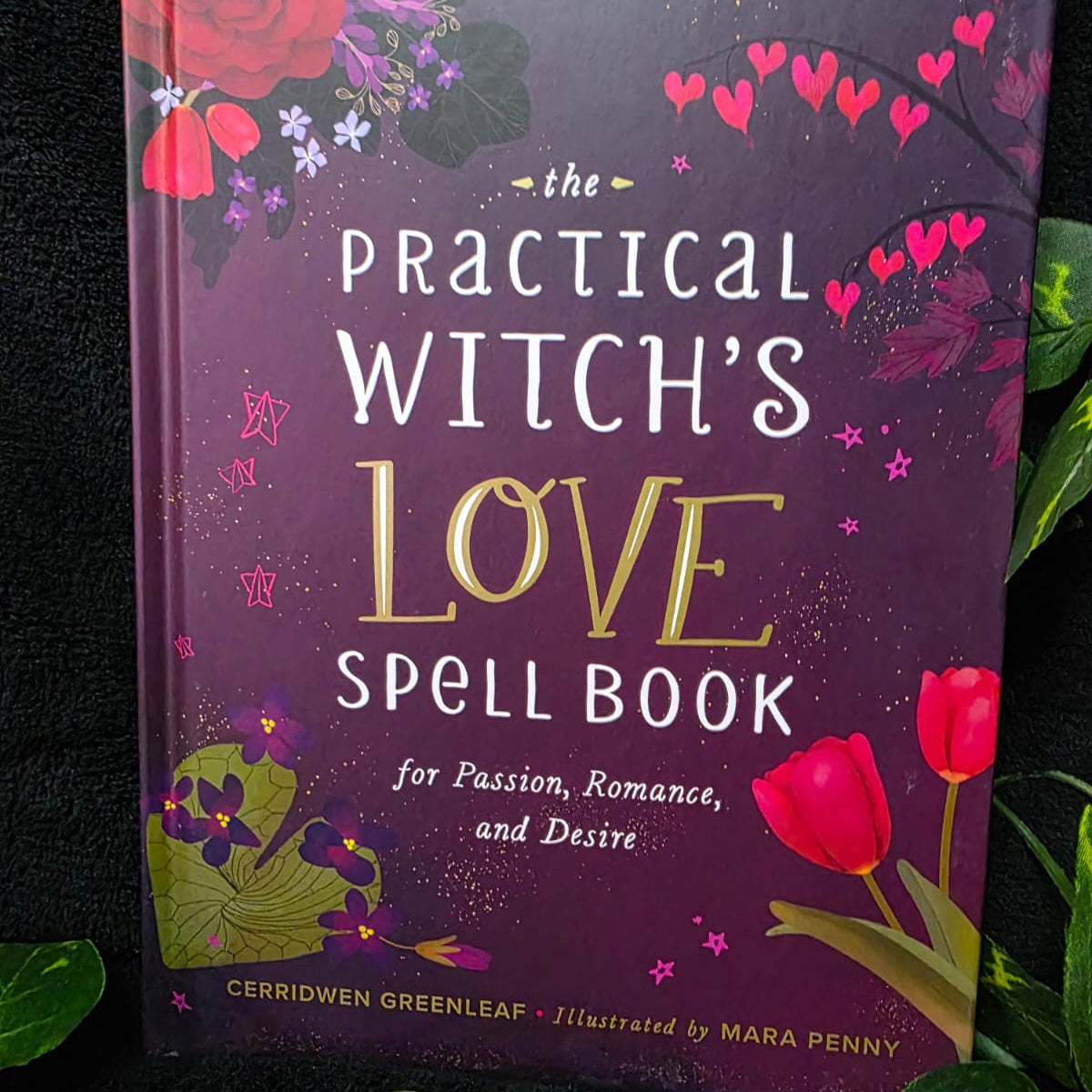The Practical Witch’s Love Spell Book (Hardcover)