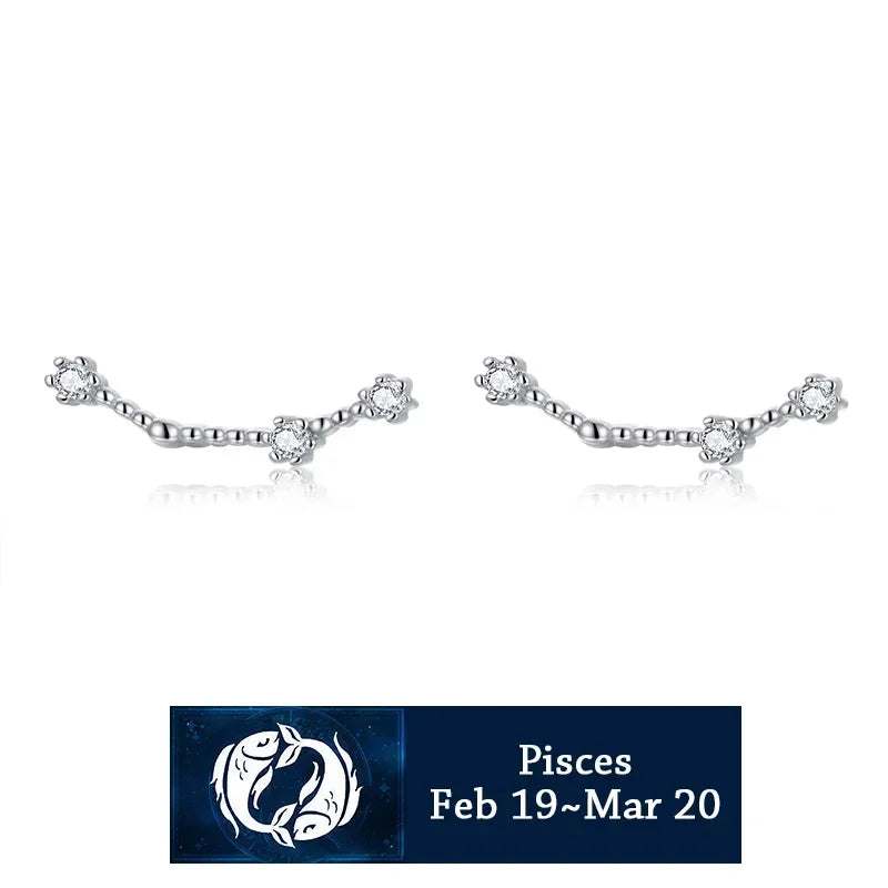 925 Sterling Silver Zircon Stud Earrings - Zodiac Collection