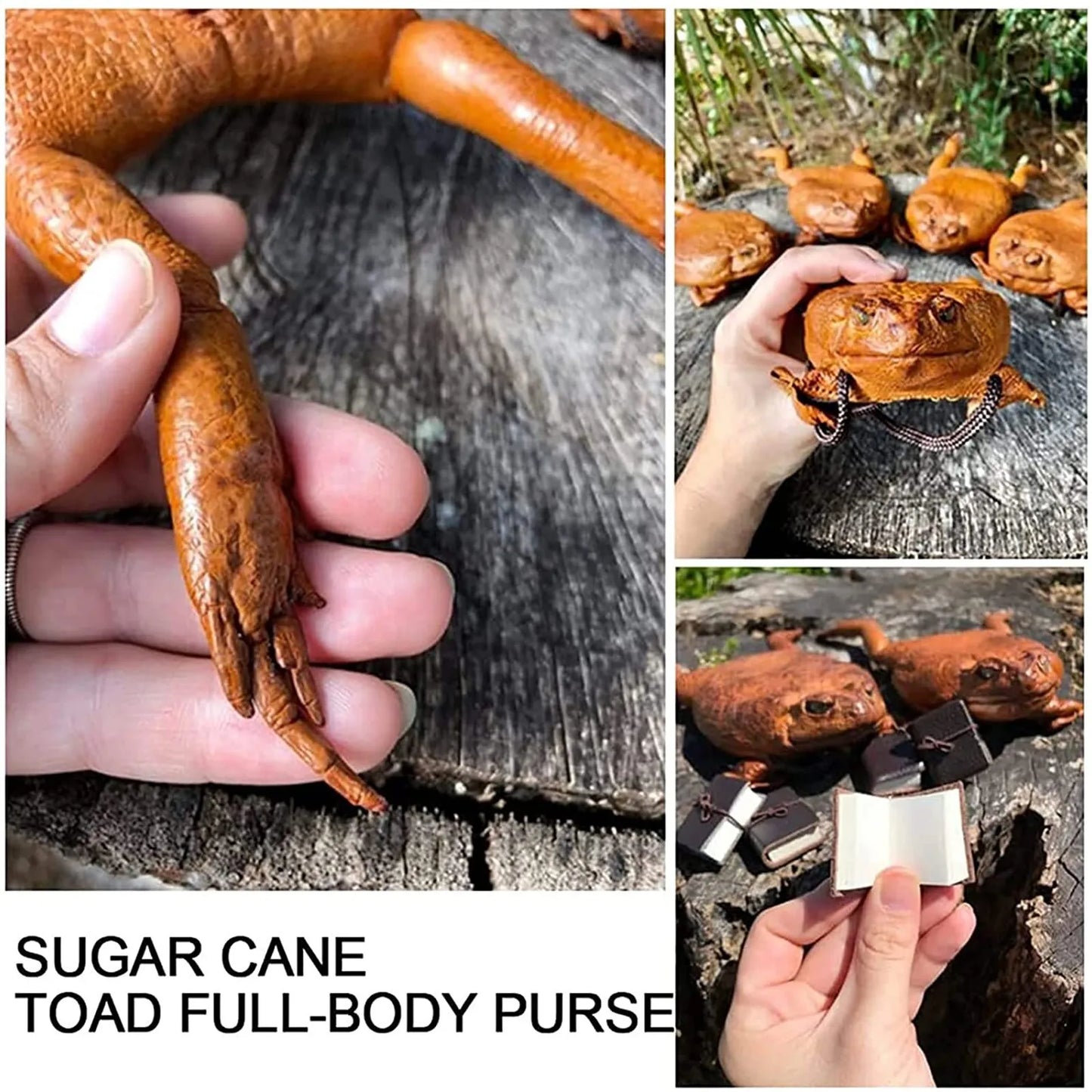 Taxidermy Cane Toad Purse