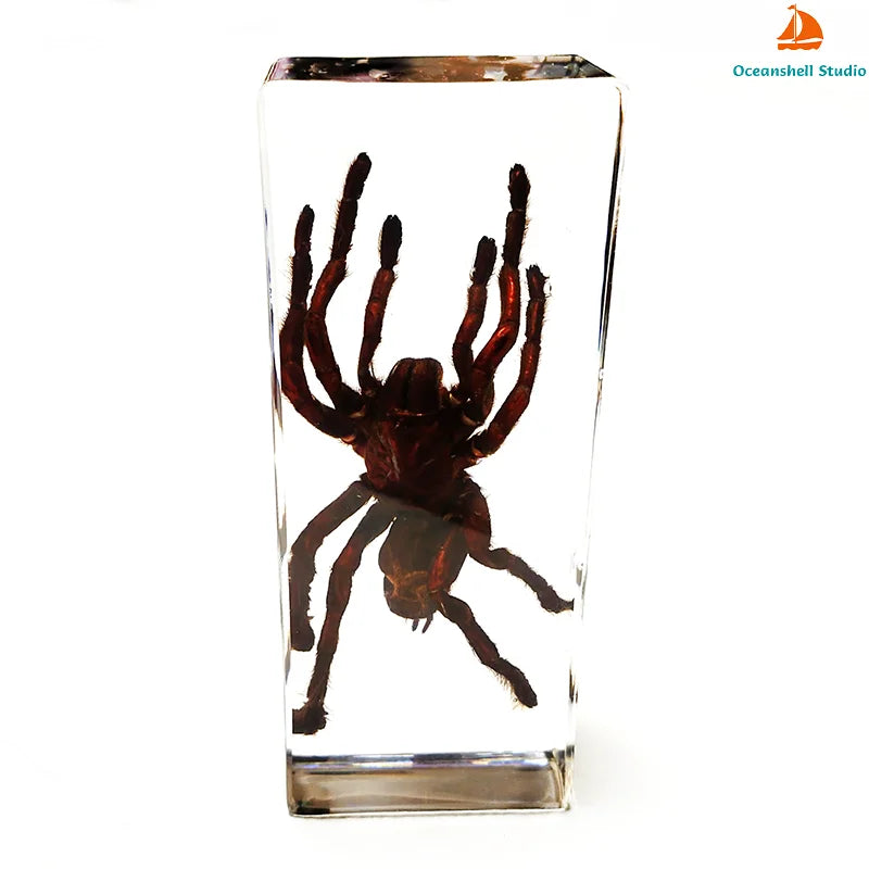 Large Insect Specimen - Cast in Resin