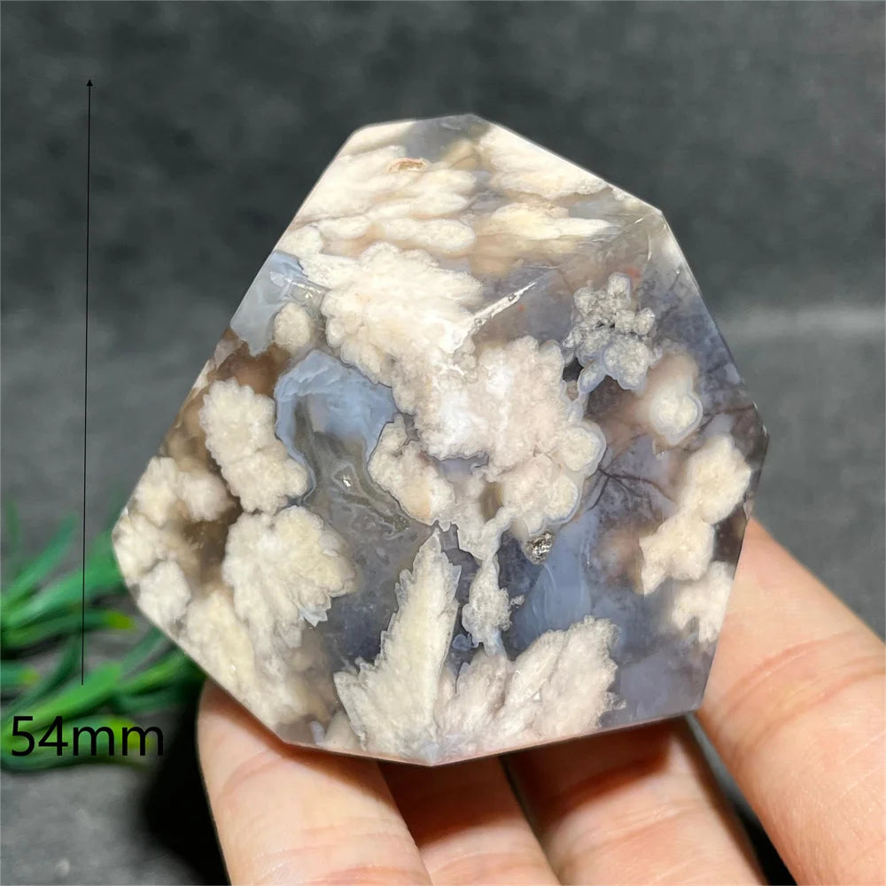 Flower Agate Crystal Free Form