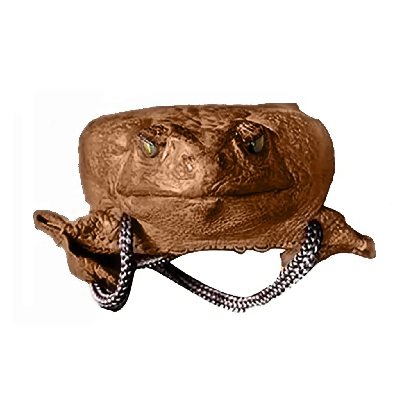 Taxidermy Cane Toad Purse