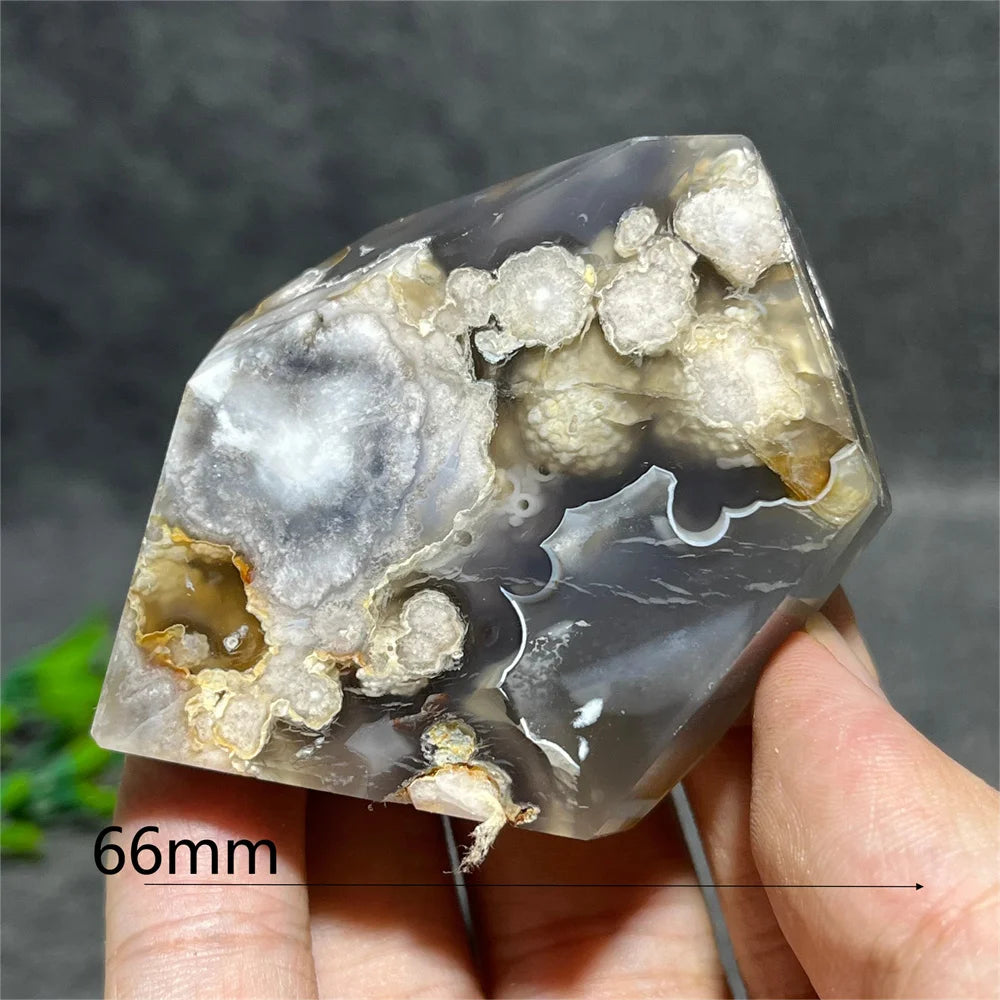 Flower Agate Crystal Free Form