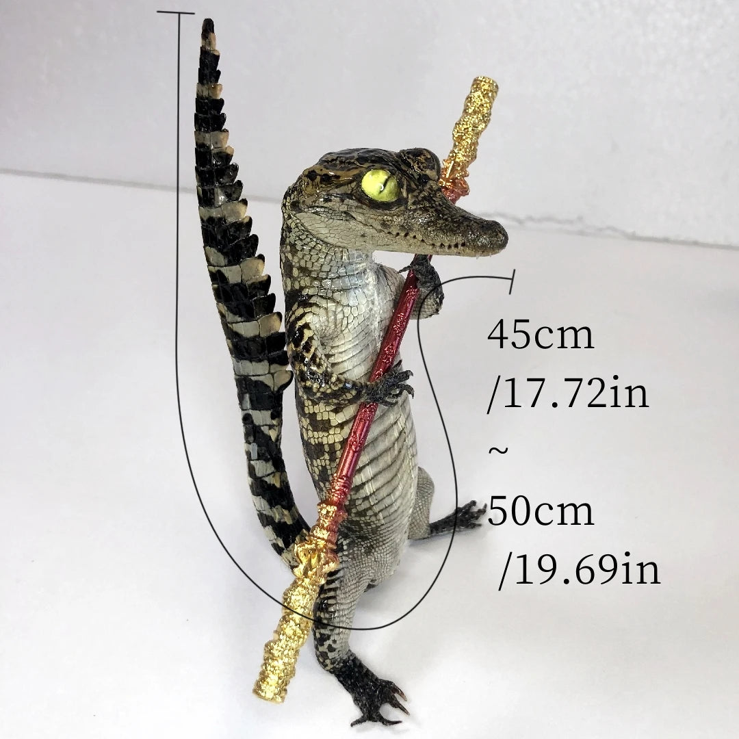 Taxidermy Crocodile