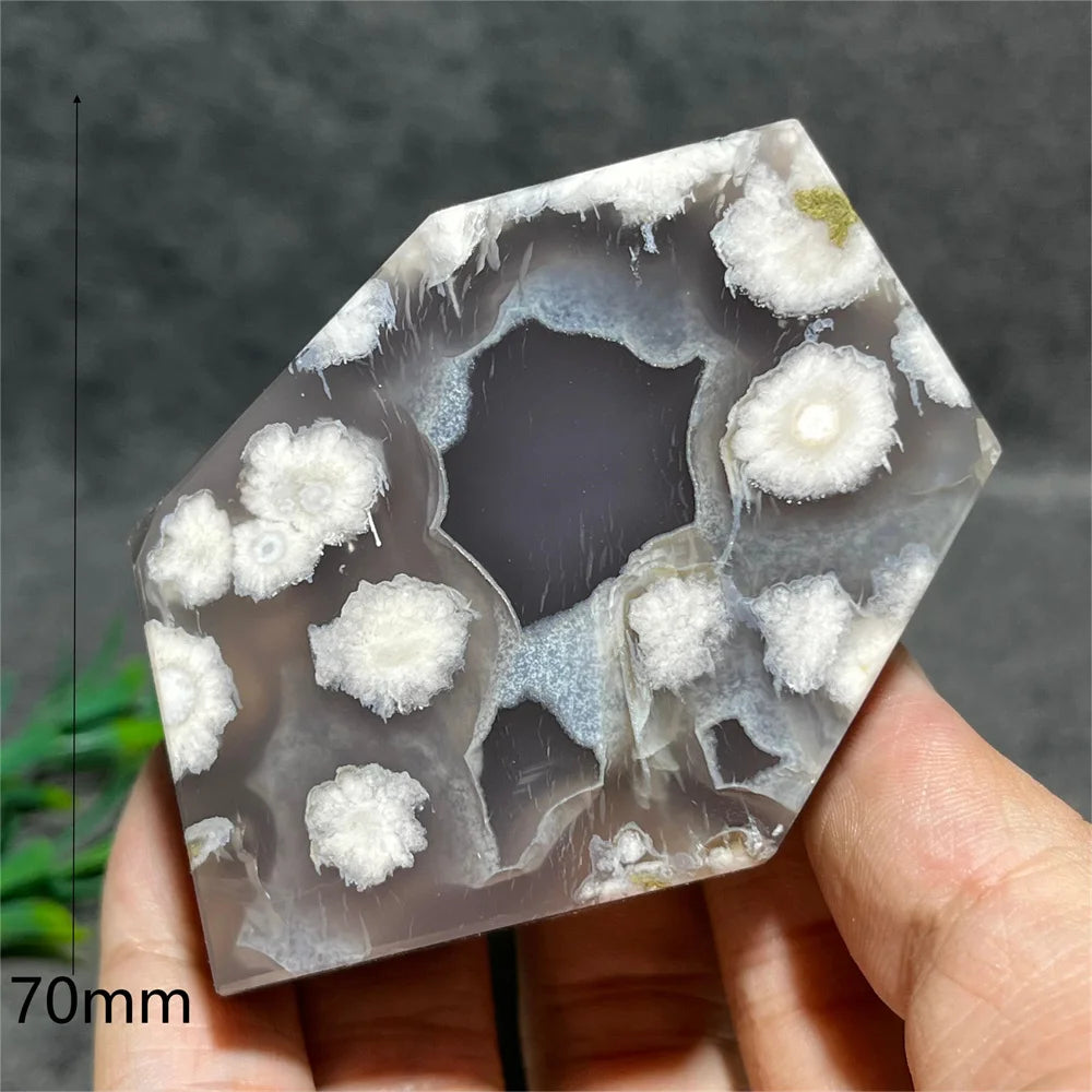 Flower Agate Crystal Free Form