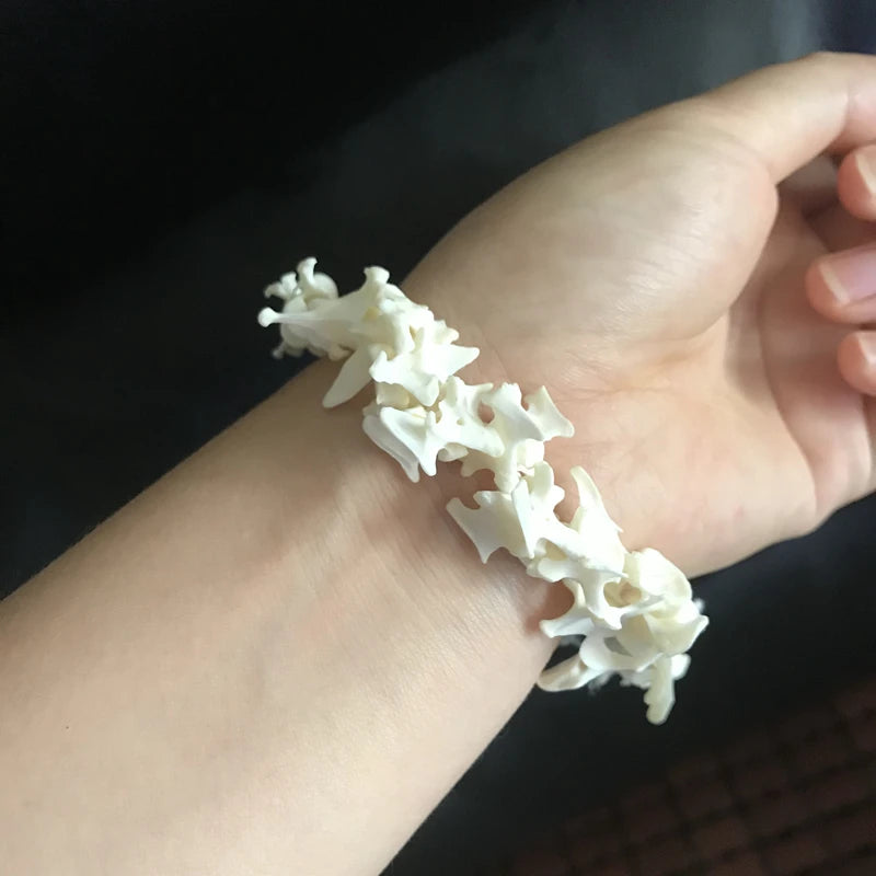Mink Spine Set- 20-25cm