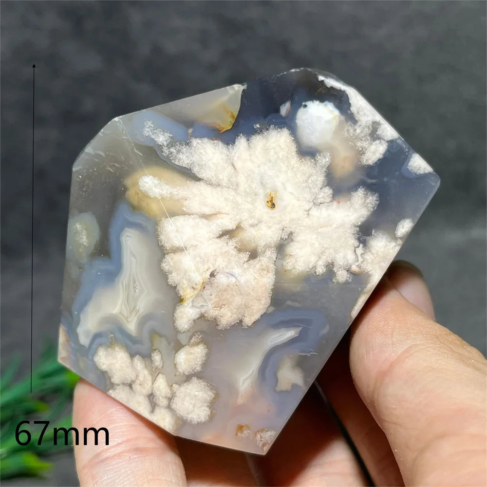Flower Agate Crystal Free Form