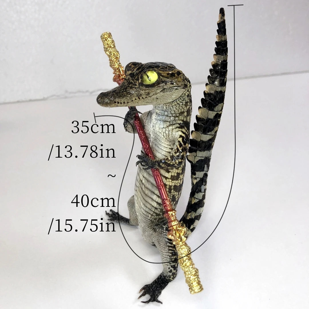Taxidermy Crocodile