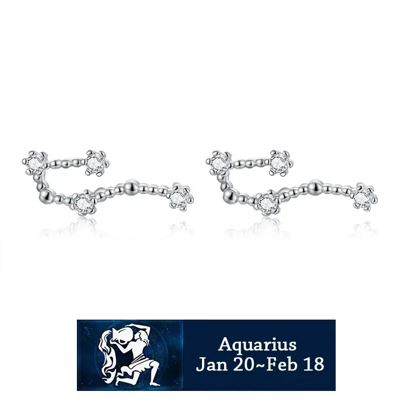 925 Sterling Silver Zircon Stud Earrings - Zodiac Collection