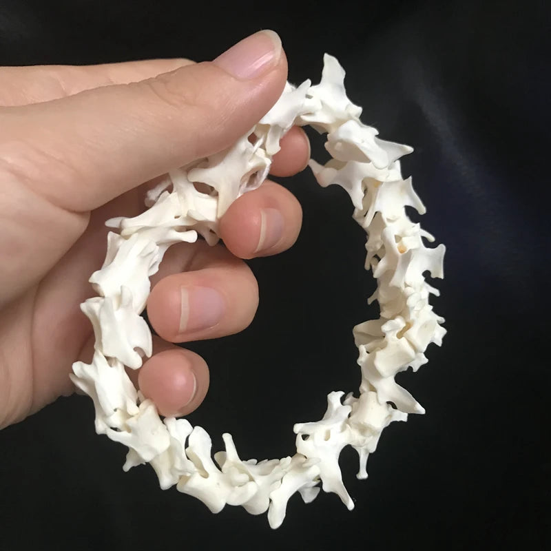 Mink Spine Set- 20-25cm