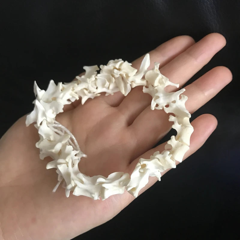 Mink Spine Set- 20-25cm