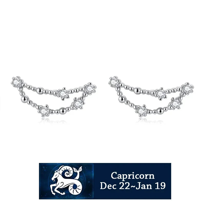 925 Sterling Silver Zircon Stud Earrings - Zodiac Collection