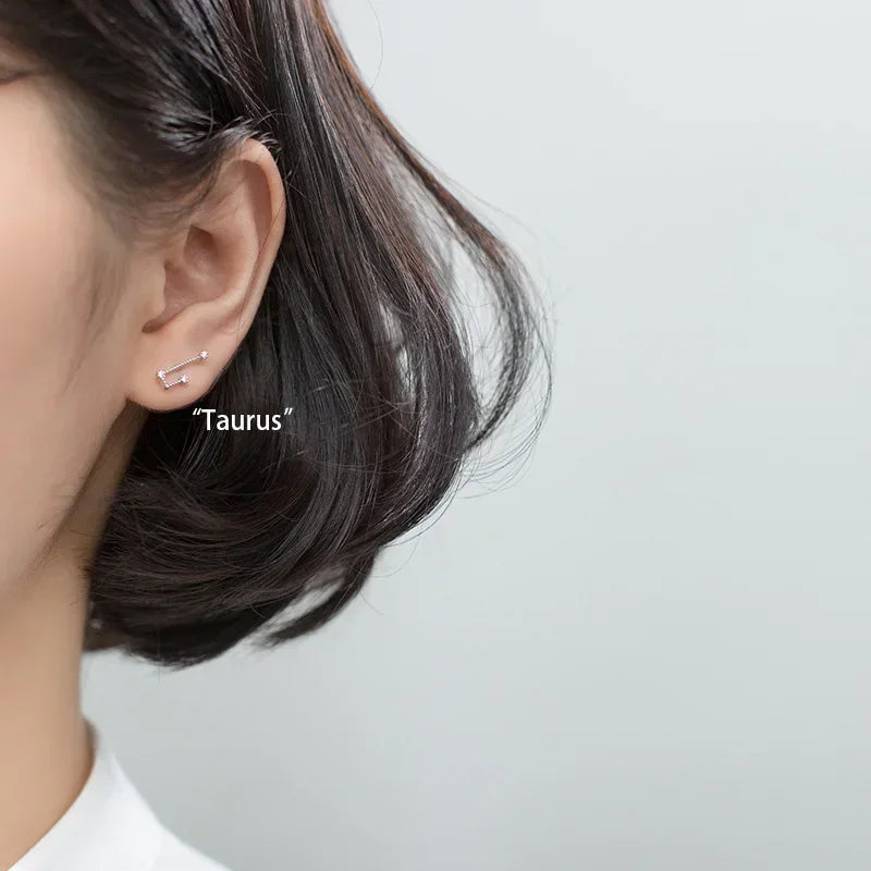 925 Sterling Silver Zircon Stud Earrings - Zodiac Collection