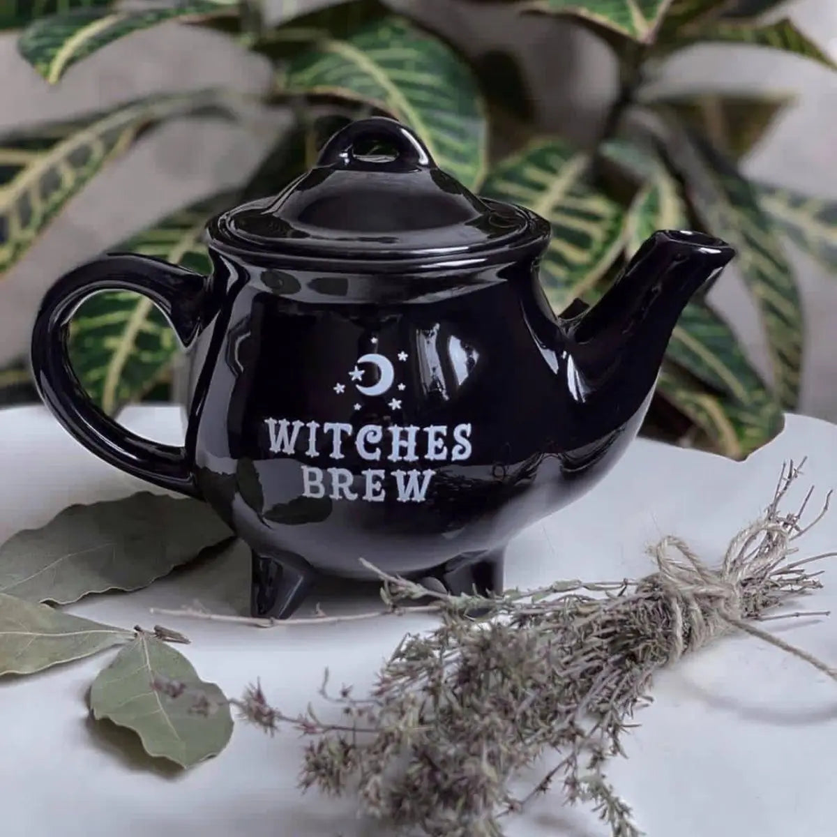 Witches Brew Tea Pot -16.5oz