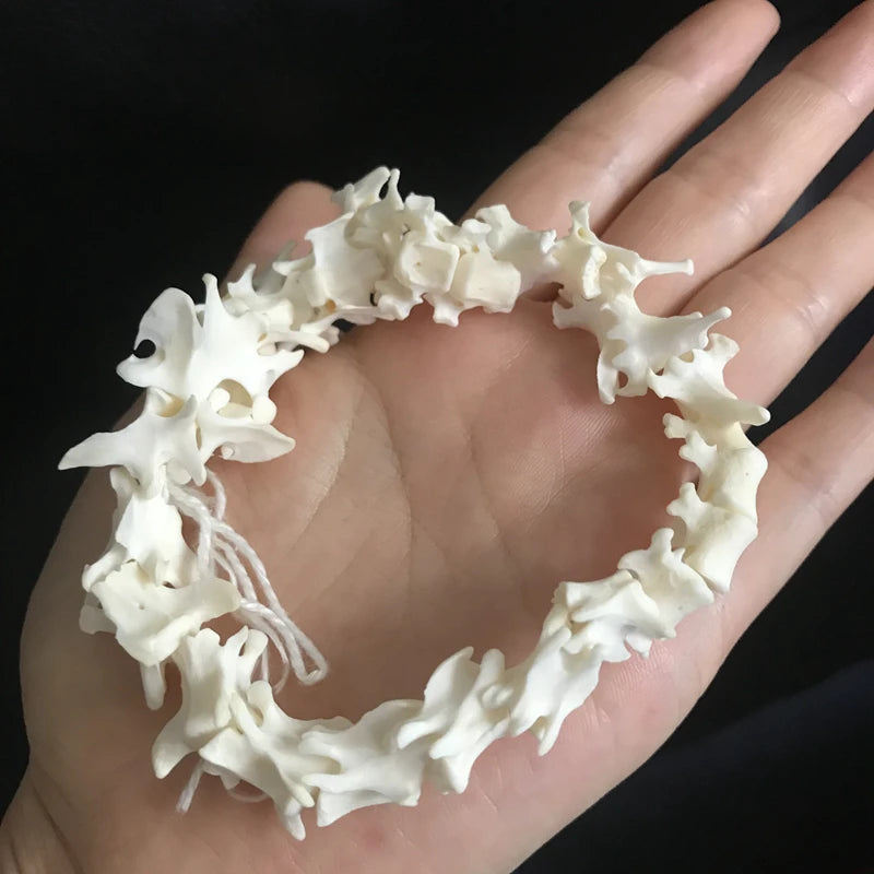 Mink Spine Set- 20-25cm