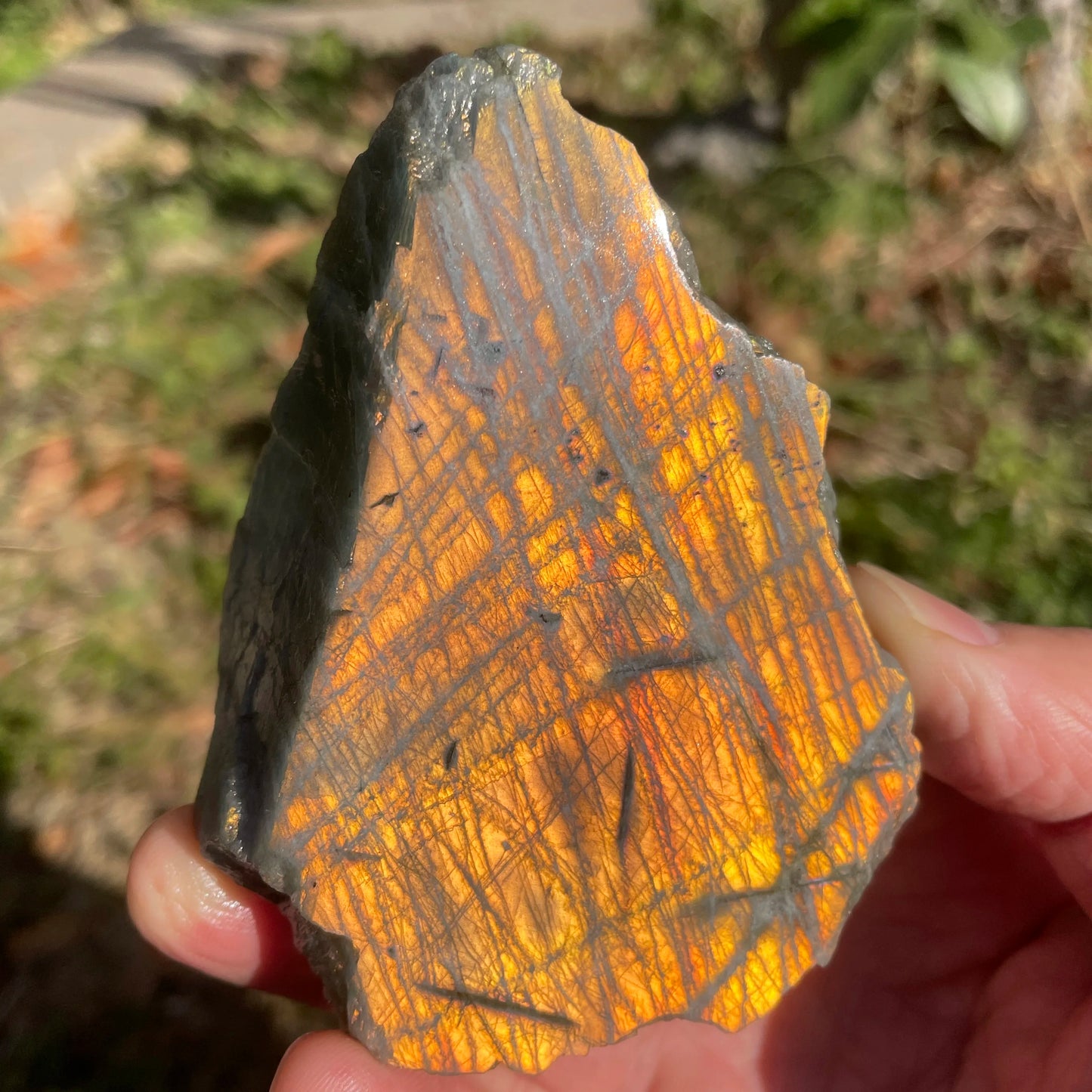 Purple Labradorite Slab
