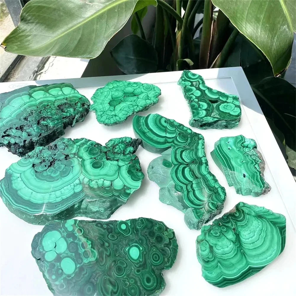 Medium Malachite Crystal Slices