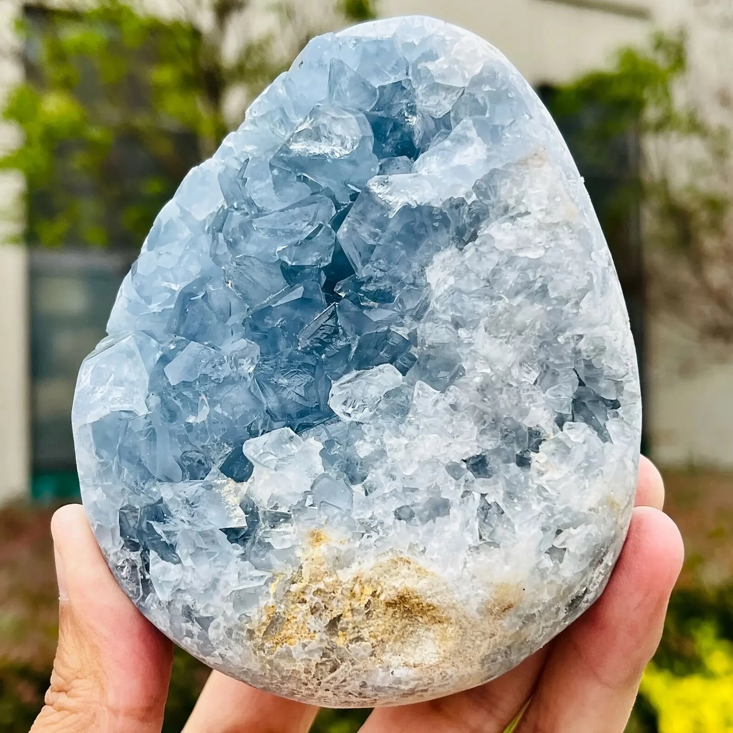 Celestite Druzy Egg Cluster
