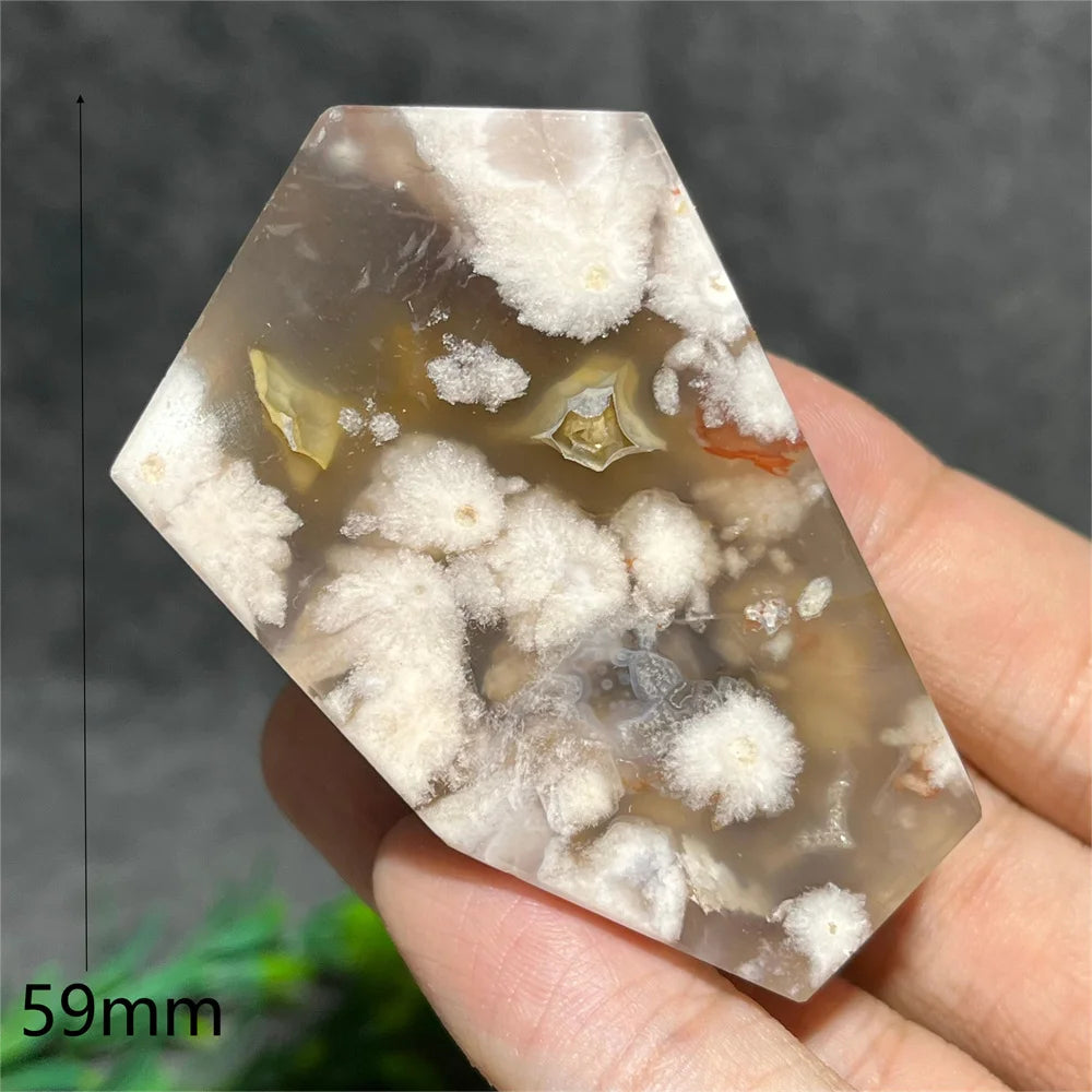 Flower Agate Crystal Free Form