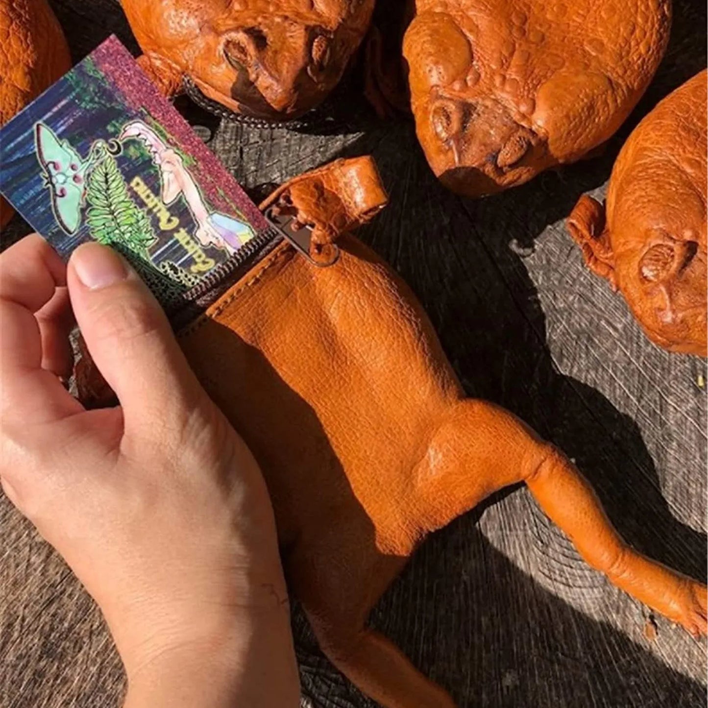 Taxidermy Cane Toad Purse