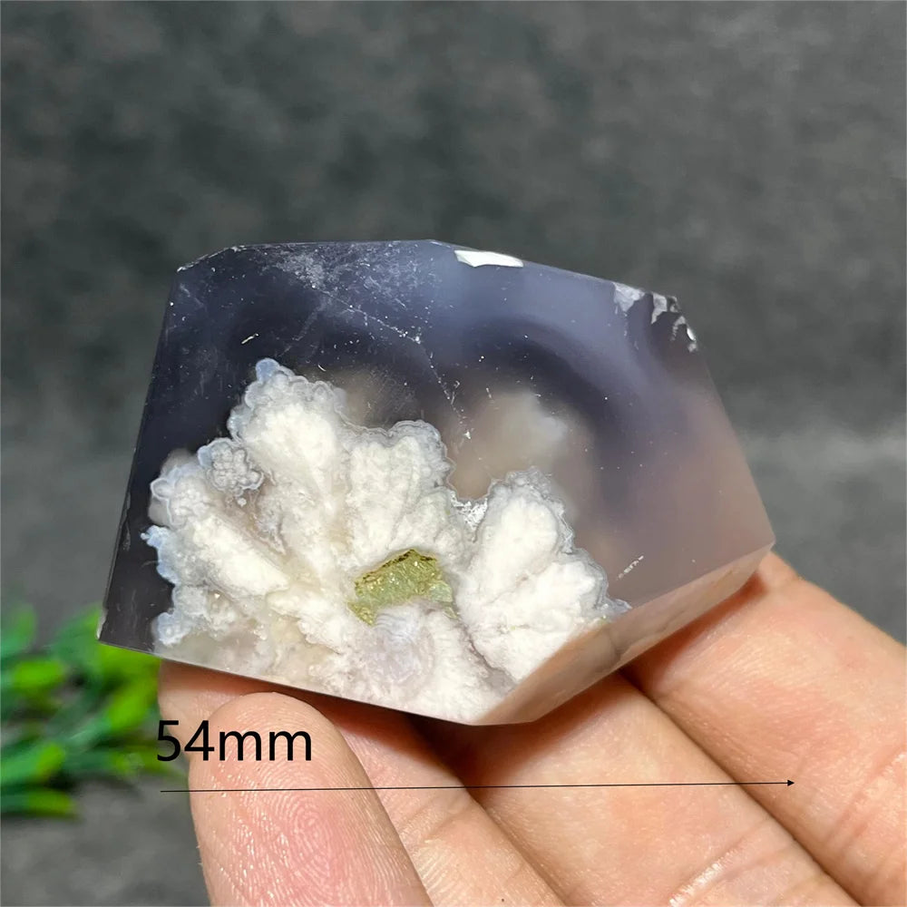 Flower Agate Crystal Free Form