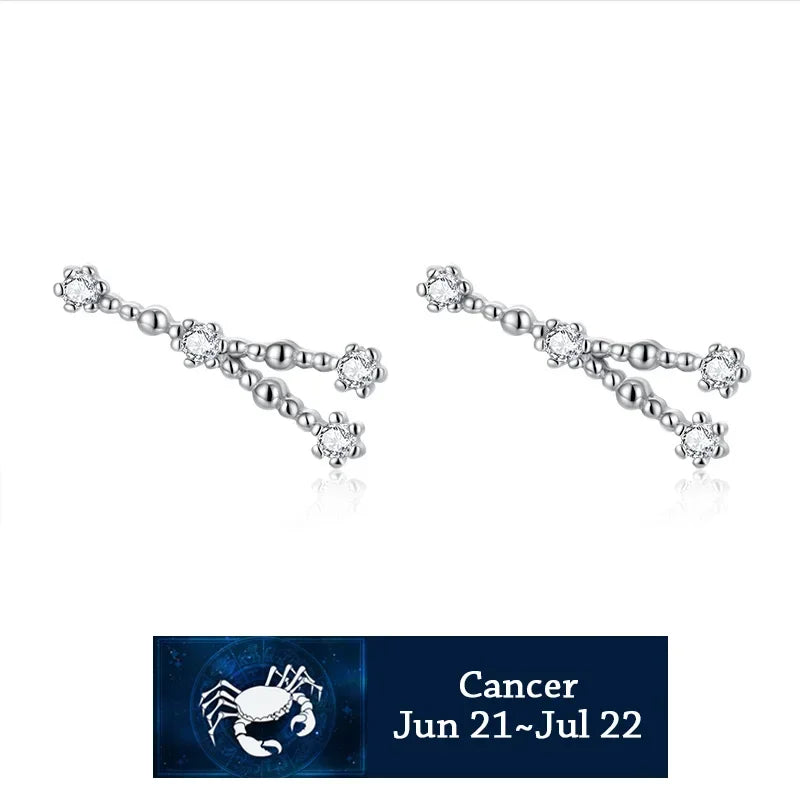 925 Sterling Silver Zircon Stud Earrings - Zodiac Collection