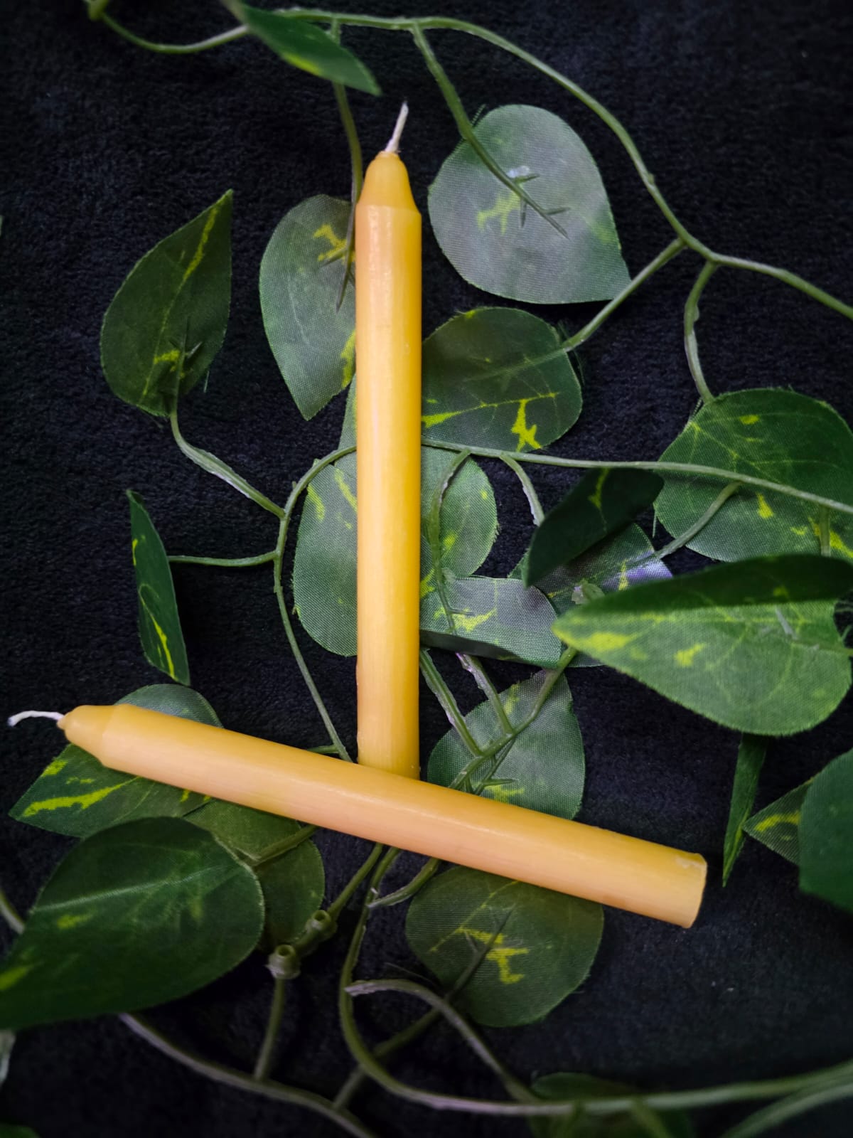 Chime Candles (2pk unscented)