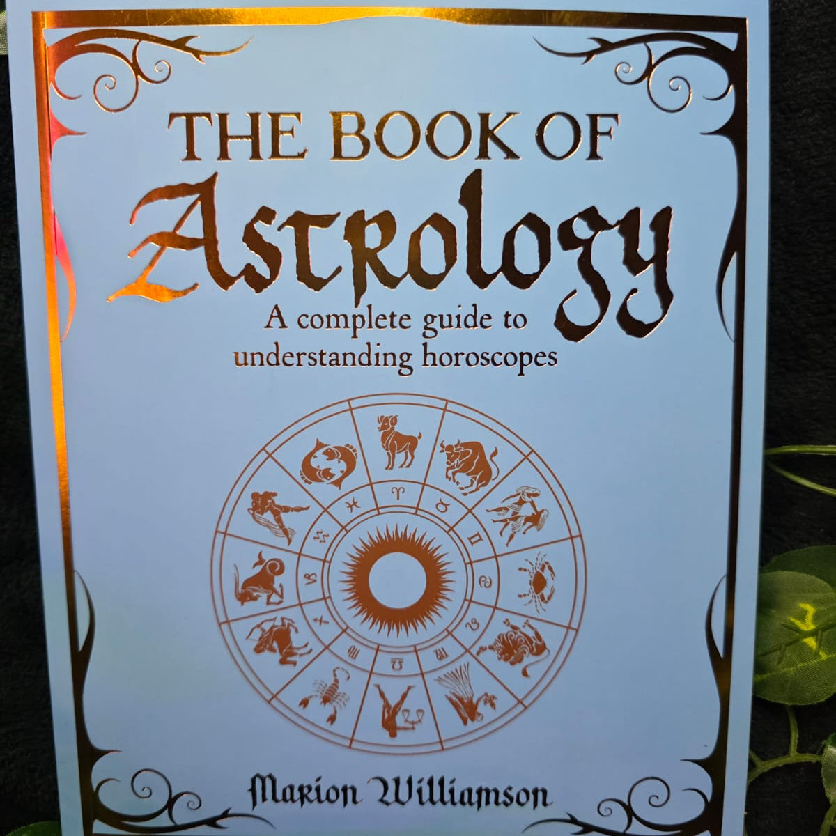 The Book of Astrology