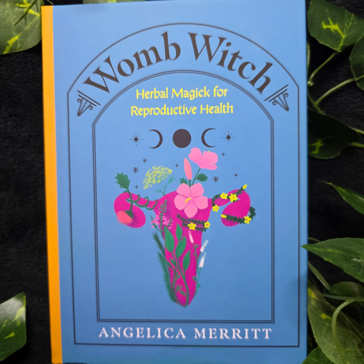 Womb Witch (Hardcover)