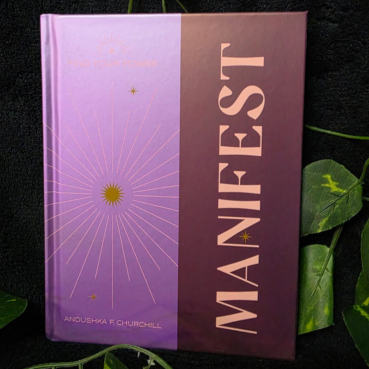Manifest: Find Your Power (Hardcover)
