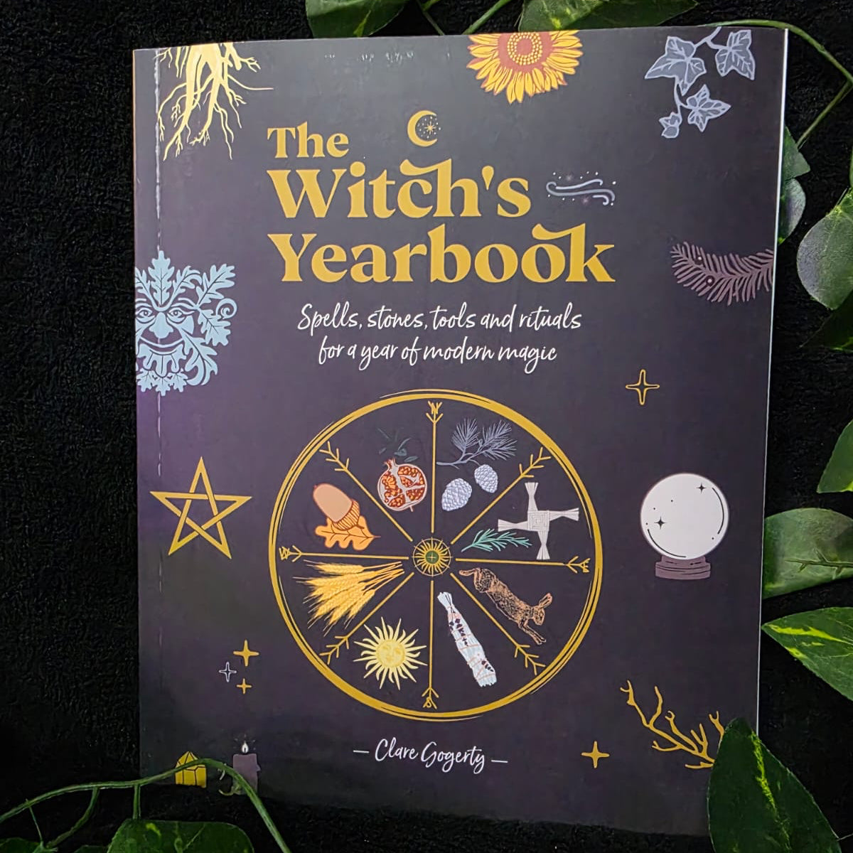 The Witch’s Yearbook