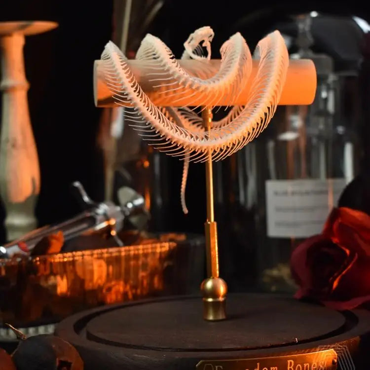 Posed Snake Skeleton in Glass Dome