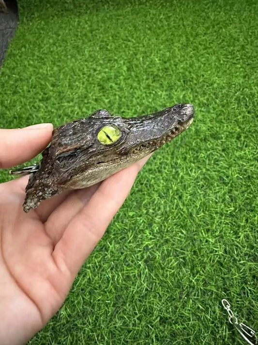 Taxidermy Crocodile Head and Tail Keychains