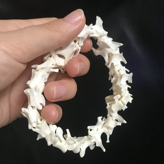 Mink Spine Set- 20-25cm