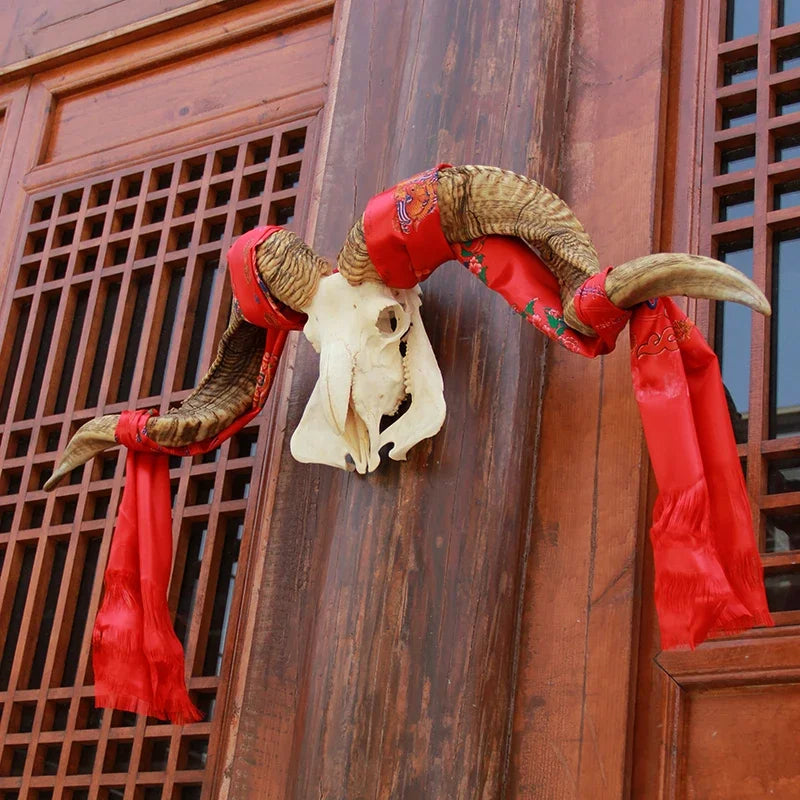 Sheep Skull With XL Horns