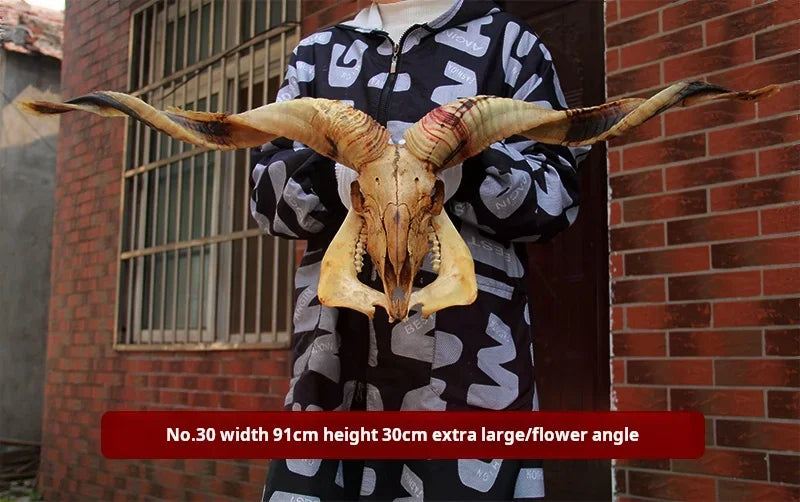 Sheep Skull With XL Horns