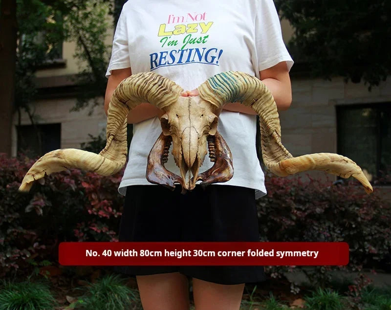 Sheep Skull With XL Horns