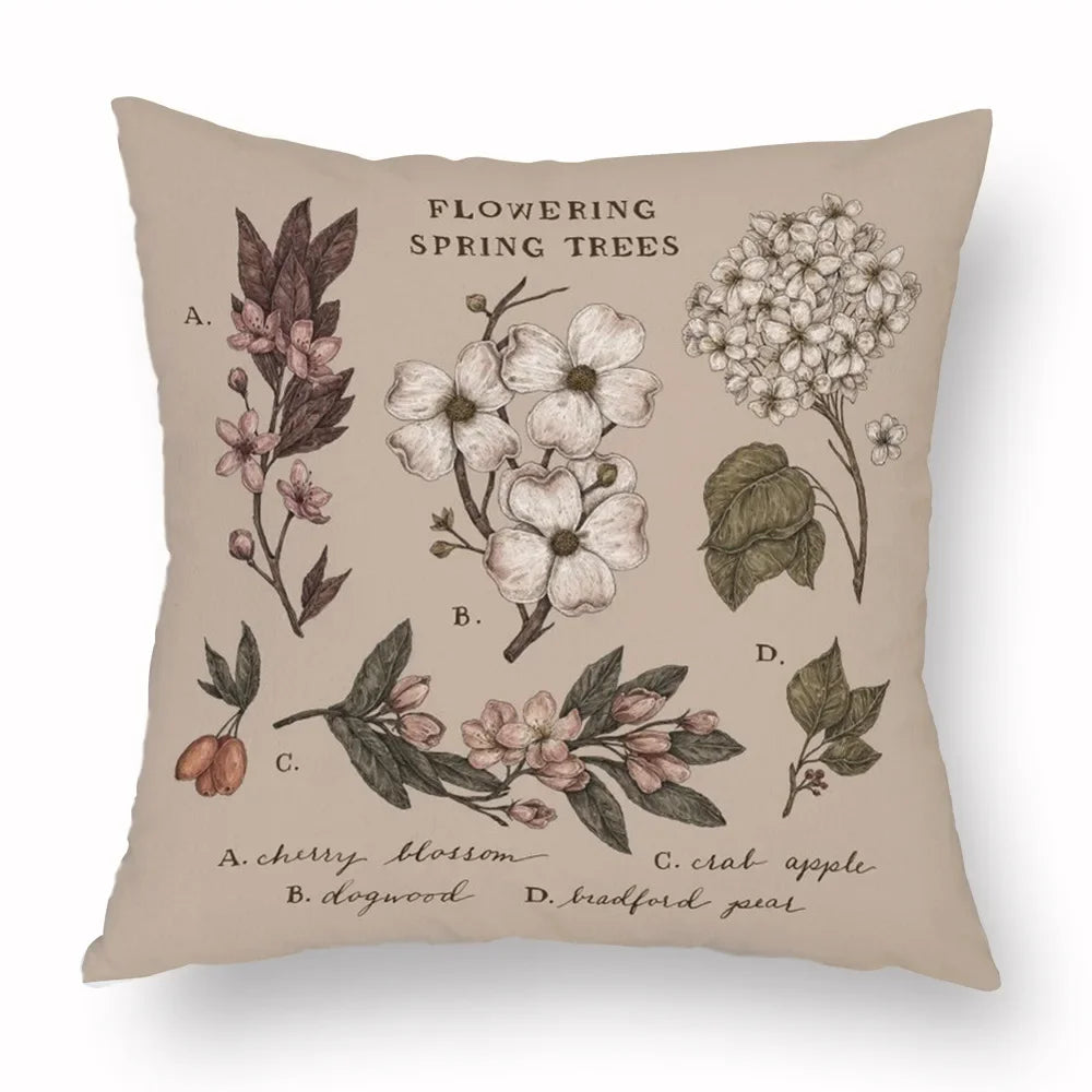 Throw Cushion Covers - Dark Academia Collection