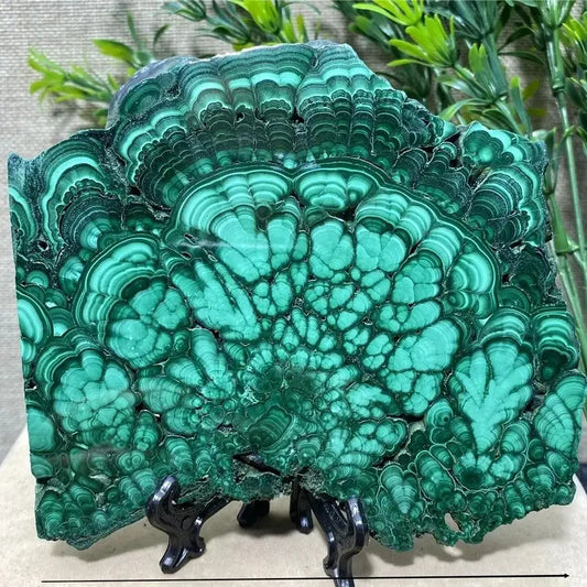 Medium Malachite Crystal Slices