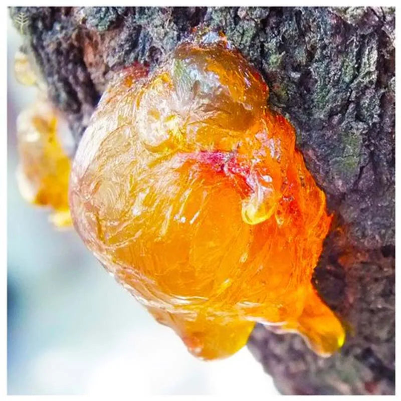 Organic Frankincense Resin