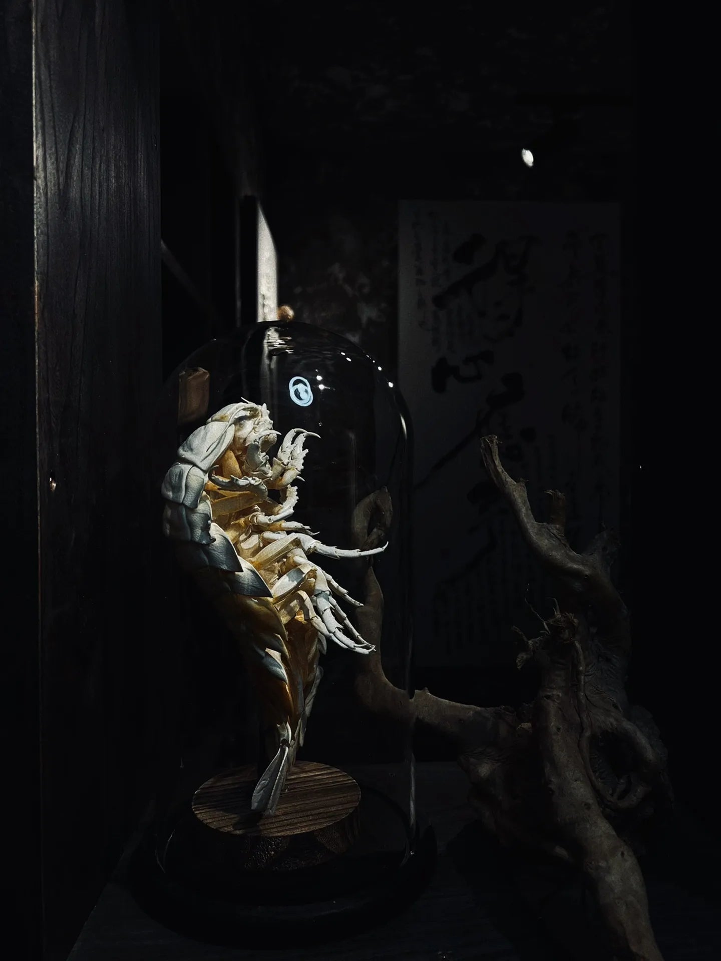 Posed Rare Giant Isopod in Glass Dome